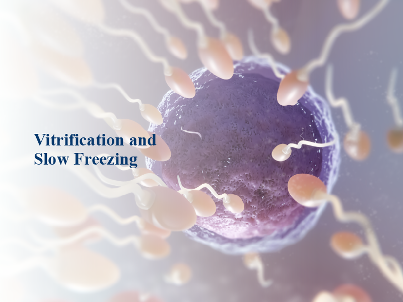 slow freezing and vitrification