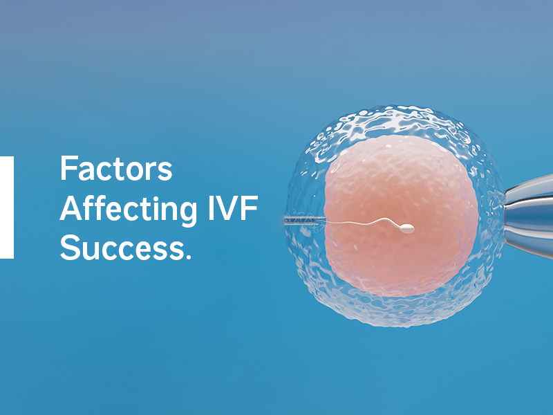 Factors affecting IVF Success